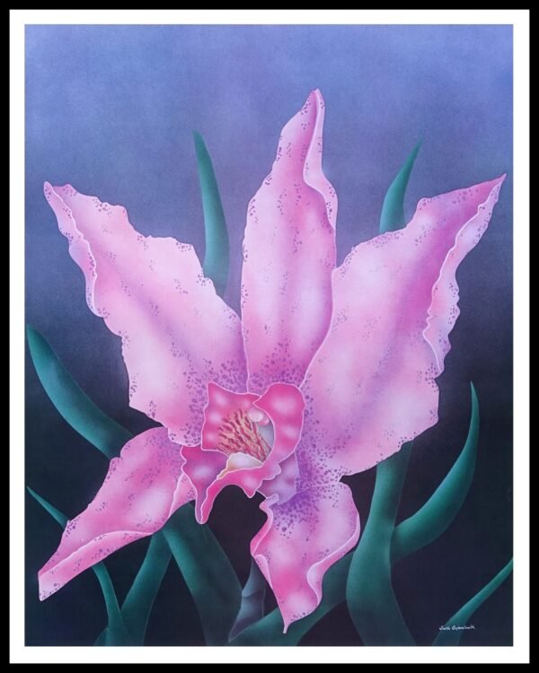 DAC 10941 Pink Splendor